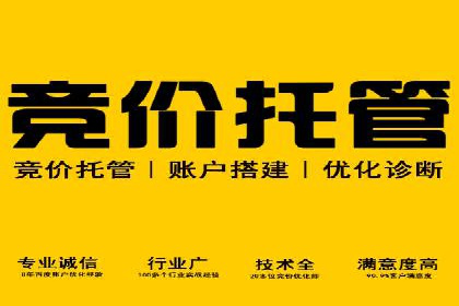 成功SEM托管案例分享：品牌增长之道